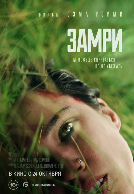 Замри 2024
